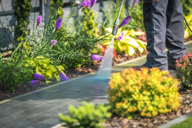 Best Dumpster Area Cleaning  in Schwenksville, PA